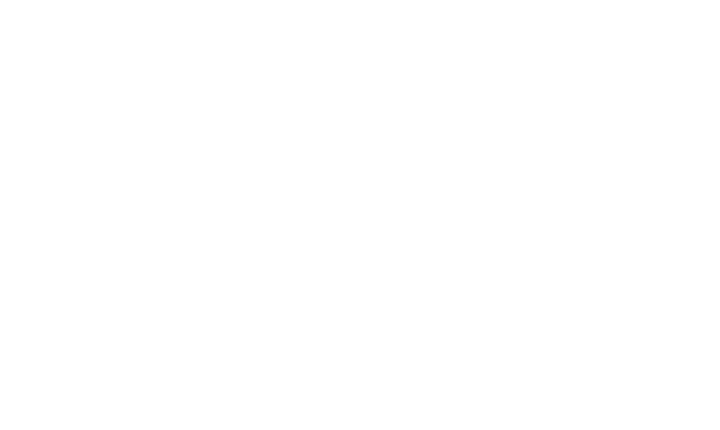 Logo.2.white_