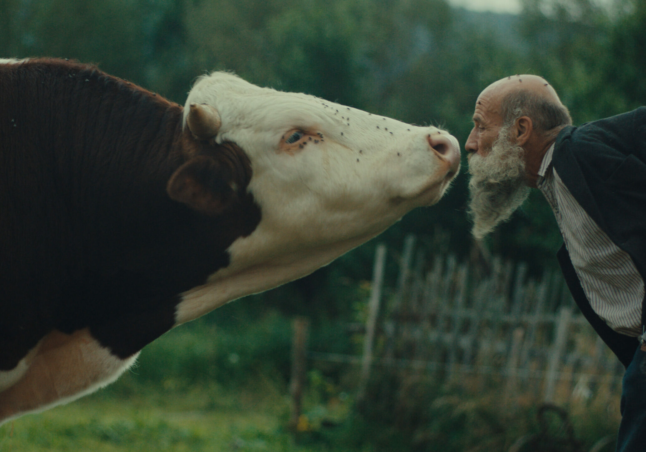 BETTER GO MAD IN THE WILD